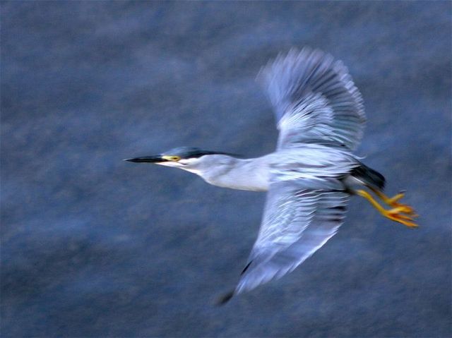 Movement pictures. Part 2 (26 pics)