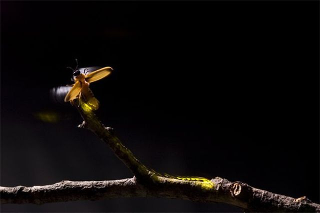 Movement pictures. Part 2 (26 pics)