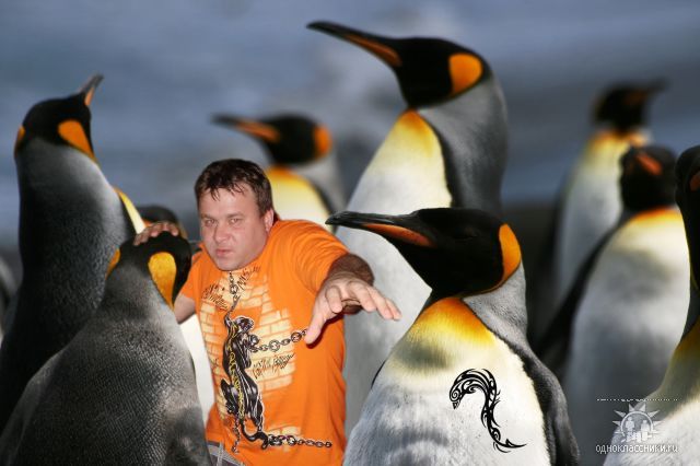 Amusing users of social networks (53 photographs)