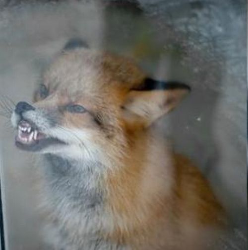 You want your display to be cleaned up     3 pics