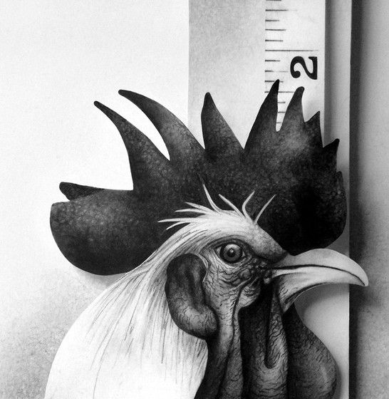 Masterpieces made with a pencil (41 photos)