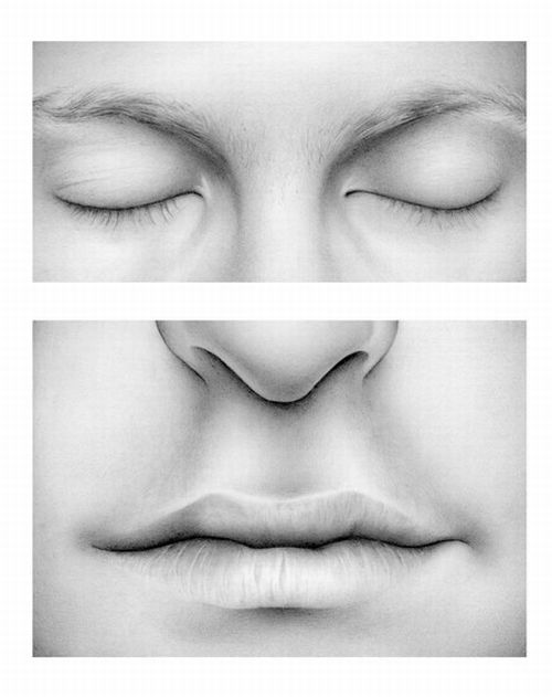 Masterpieces made with a pencil (41 photos)