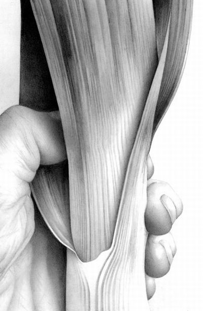 Masterpieces made with a pencil (41 photos)
