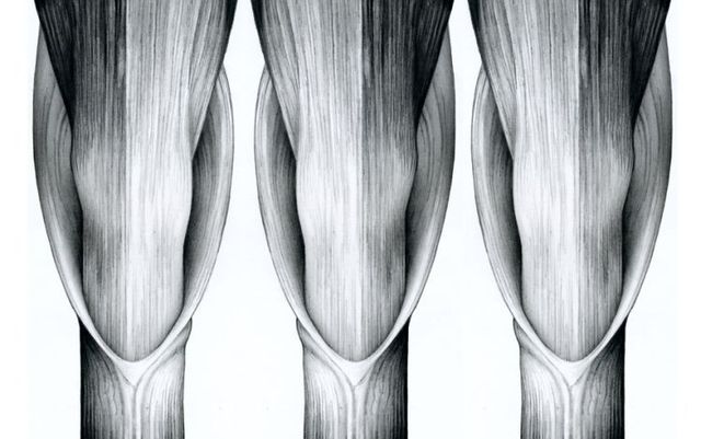 Masterpieces made with a pencil (41 photos)