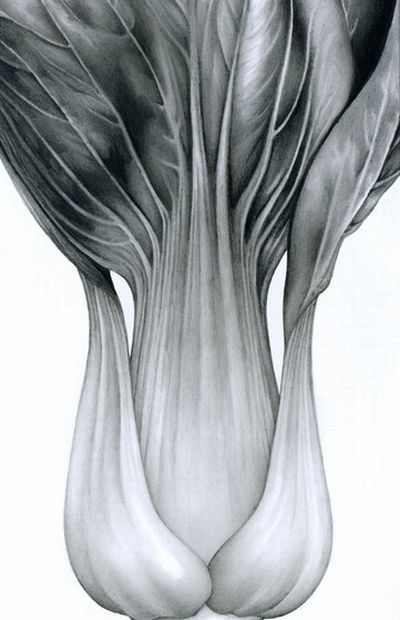 Masterpieces made with a pencil (41 photos)