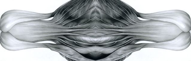 Masterpieces made with a pencil (41 photos)