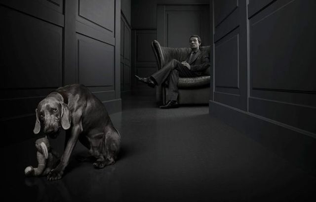 Very creative pictures (63 pics)