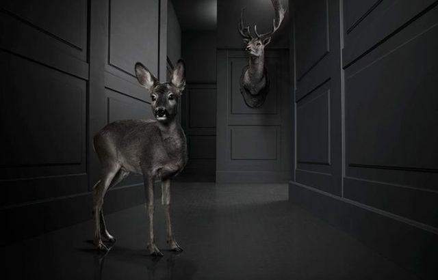Very creative pictures (63 pics)