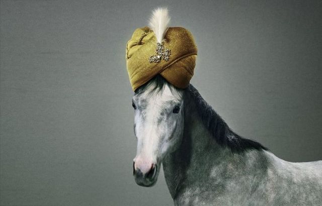 Very creative pictures (63 pics)