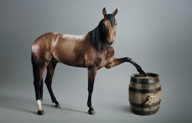 Very creative pictures (63 pics)