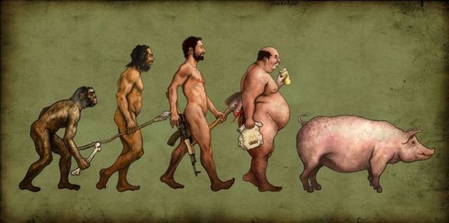 Evolution (48 pics)