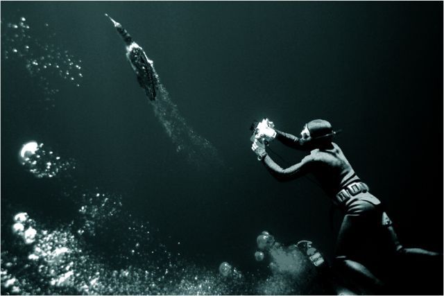 Scuba Diving (21 photos)