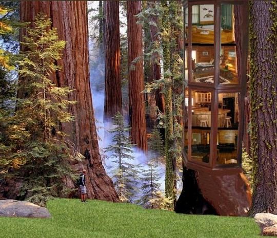Cool homes photoshopped (19 photos)