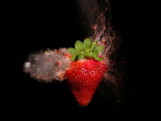 Objects shot while blowing apart (44 pics)