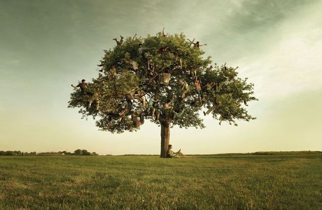 Great creative work … Photographer Vincent Dixon (62 pics)