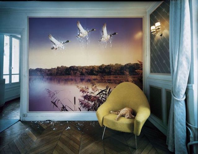 Great creative work … Photographer Vincent Dixon (62 pics)