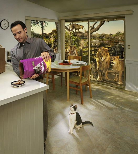 Great creative work … Photographer Vincent Dixon (62 pics)