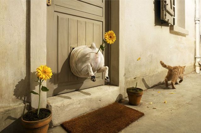 Great creative work … Photographer Vincent Dixon (62 pics)