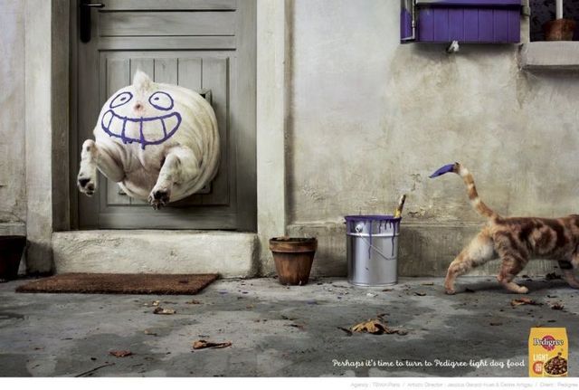 Great creative work … Photographer Vincent Dixon (62 pics)