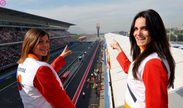 Formula 1 Girls (17 photos)