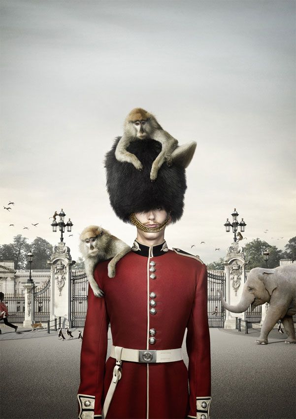 Brilliant advertiser (91 pics)