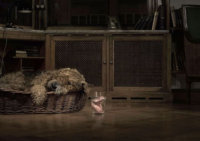 Brilliant advertiser (91 pics)
