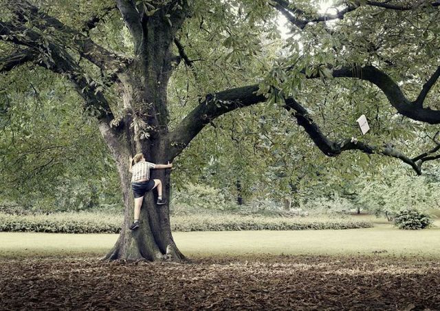 Brilliant advertiser (91 pics)