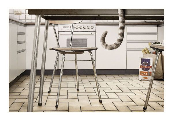 Brilliant advertiser (91 pics)