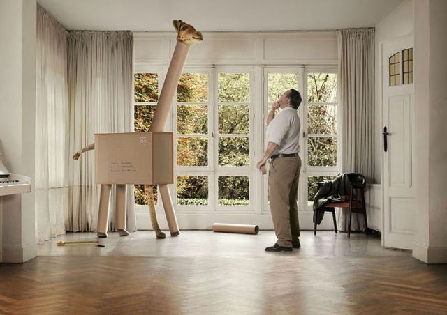 Brilliant advertiser (91 pics)