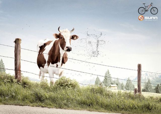 Brilliant advertiser (91 pics)