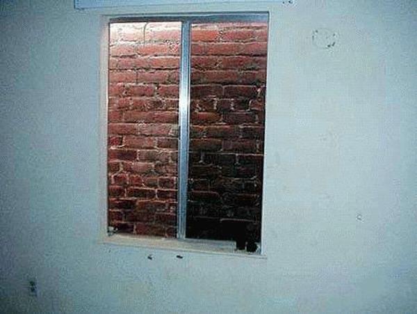 Collection of pictures with human stupidity (53 pics)