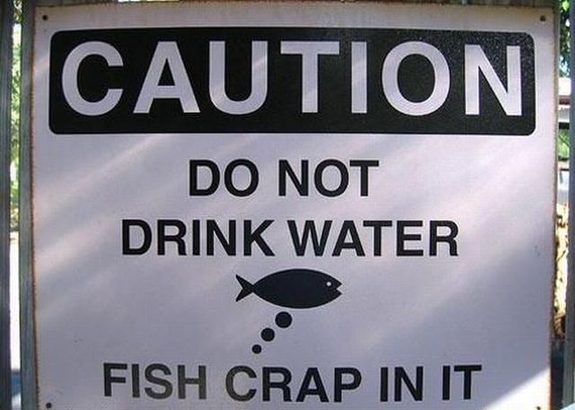 Collection of pictures with human stupidity (53 pics)