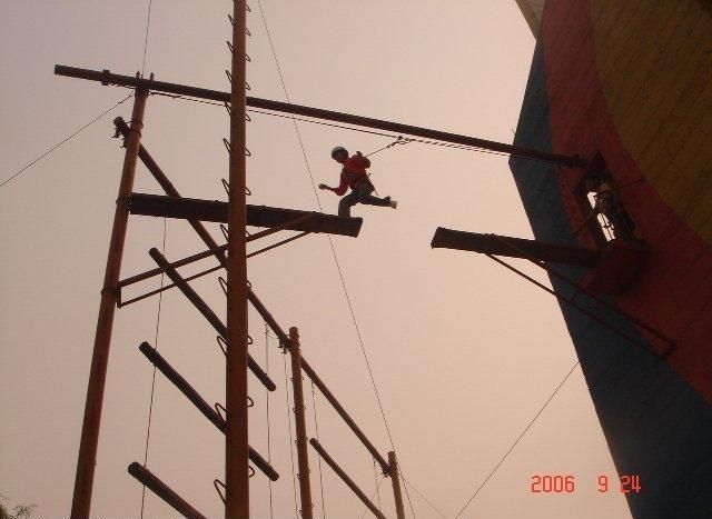 Collection of pictures with human stupidity (53 pics)