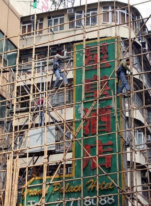 Collection of pictures with human stupidity (53 pics)