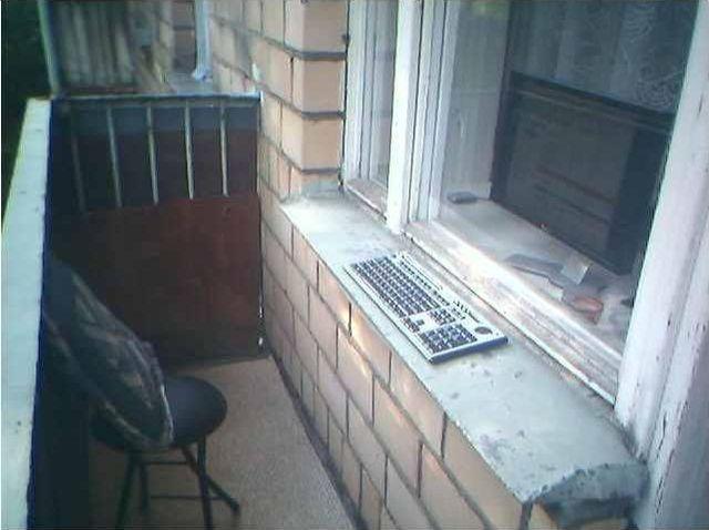 Collection of pictures with human stupidity (53 pics)