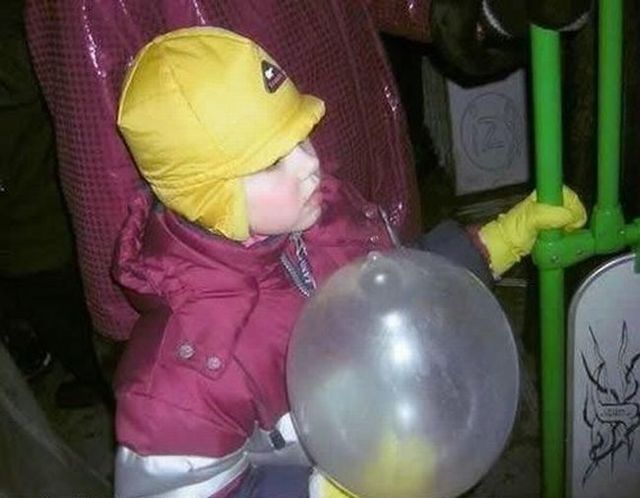 Collection of pictures with human stupidity (53 pics)