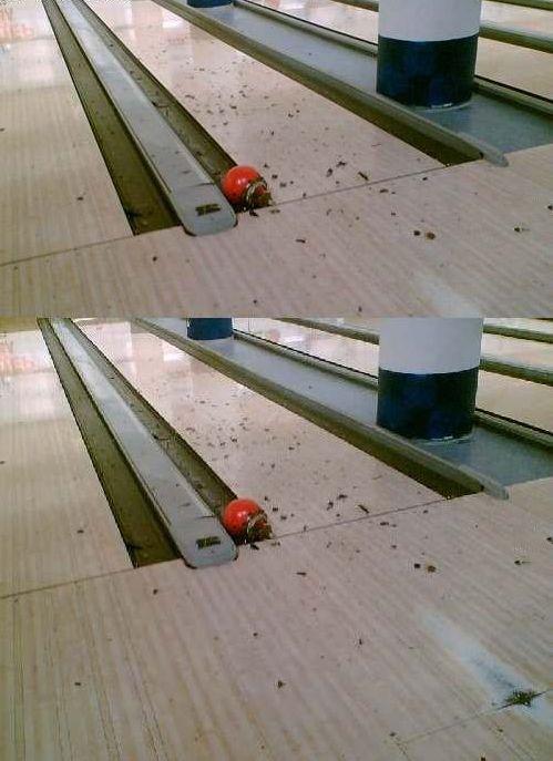 Collection of pictures with human stupidity (53 pics)