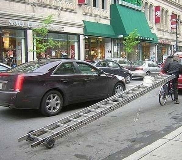 Collection of pictures with human stupidity (53 pics)