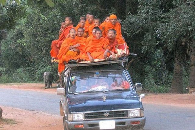 Collection of pictures with human stupidity (53 pics)