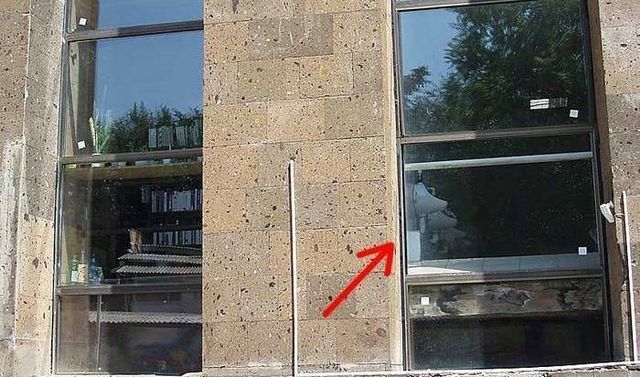 Collection of pictures with human stupidity (53 pics)