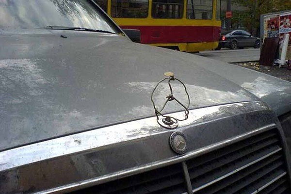 Collection of pictures with human stupidity (53 pics)
