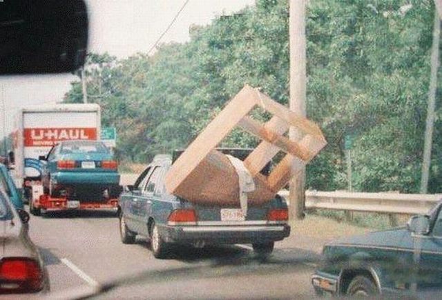 Collection of pictures with human stupidity (53 pics)