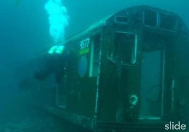Train accidents (50 pics + 1 video)