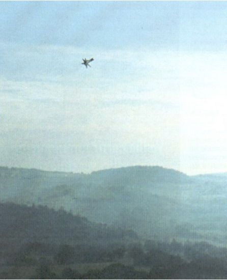 May be aliens do exist? (154 pics)