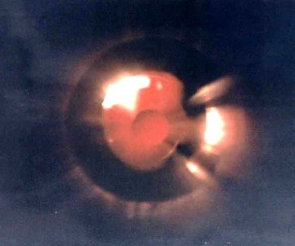 May be aliens do exist? (154 pics)