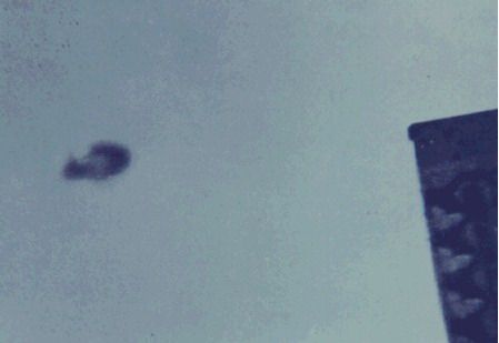 May be aliens do exist? (154 pics)