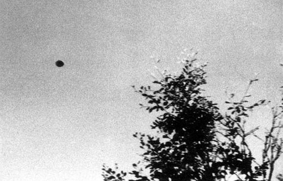 May be aliens do exist? (154 pics)