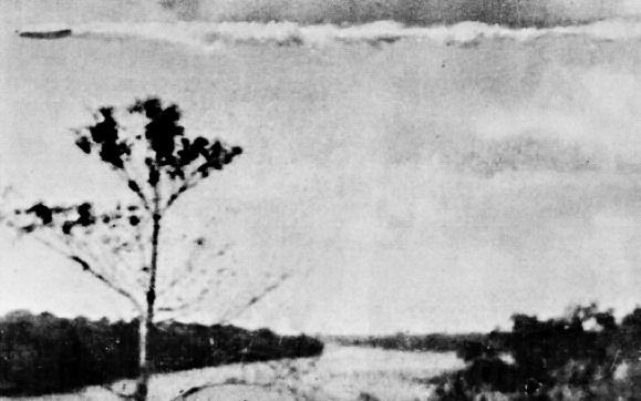 May be aliens do exist? (154 pics)