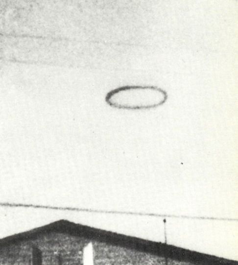 May be aliens do exist? (154 pics)