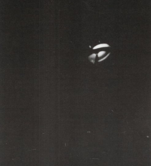 May be aliens do exist? (154 pics)